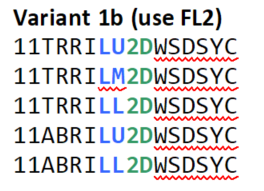 B_Coding_with_FL2.png